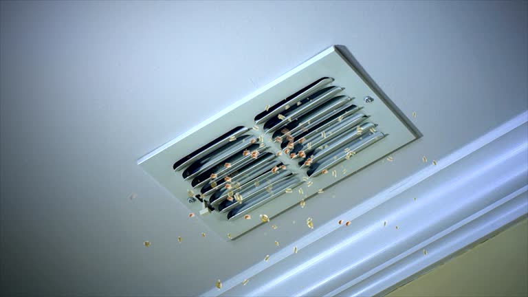 Best Ventilation Cleaning Services  in Marksville, LA